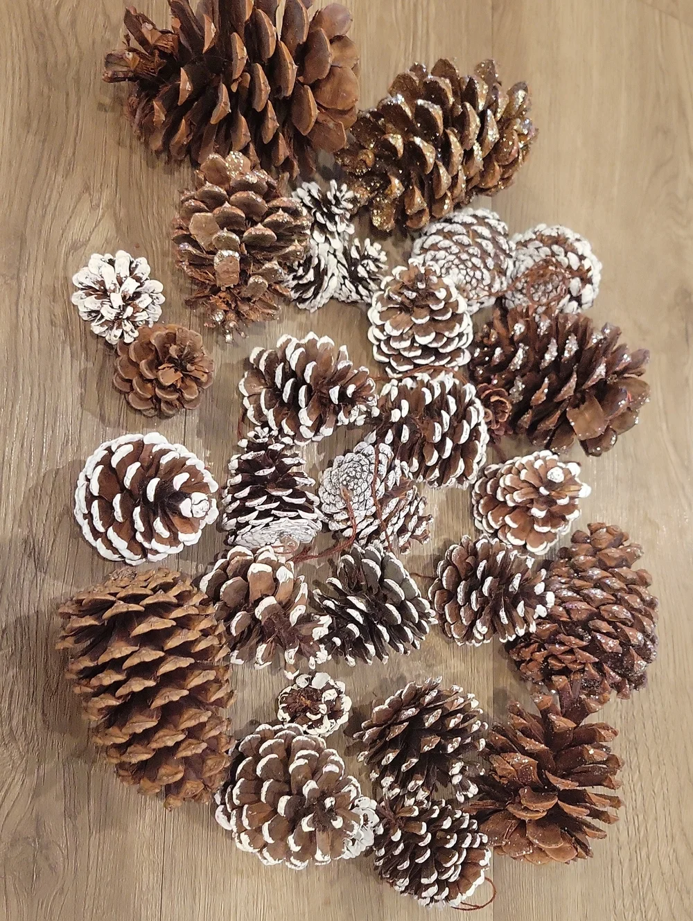 Holiday Pinecone Bundle